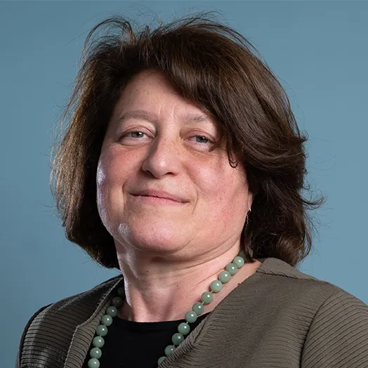Political Economics Professor Lucia Tajoli 