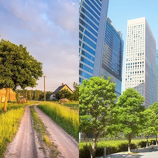 rural and city scene 